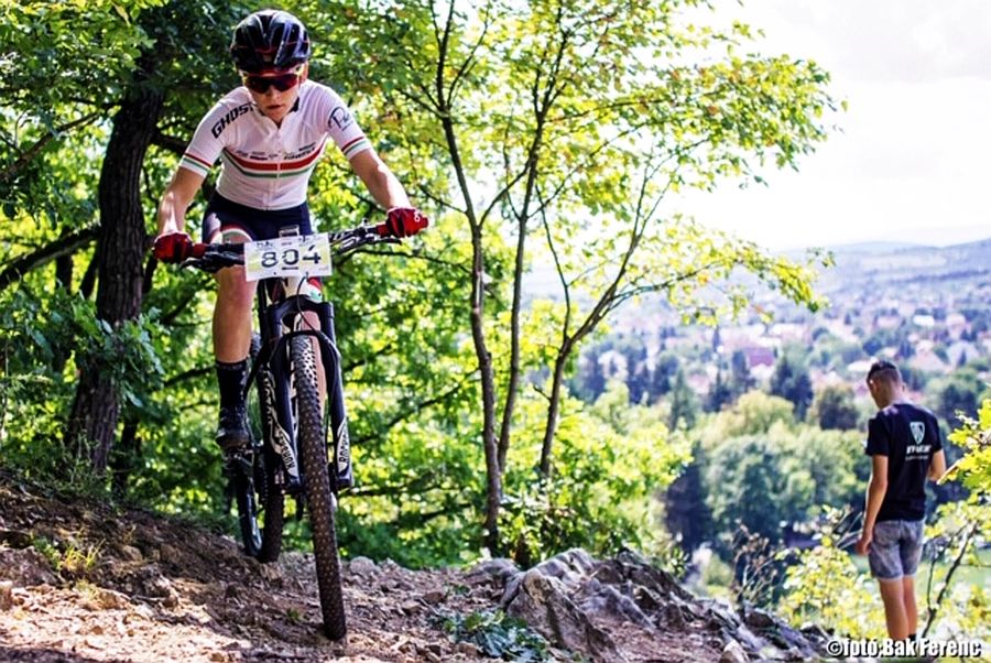 buzsaki virag IMG 0865