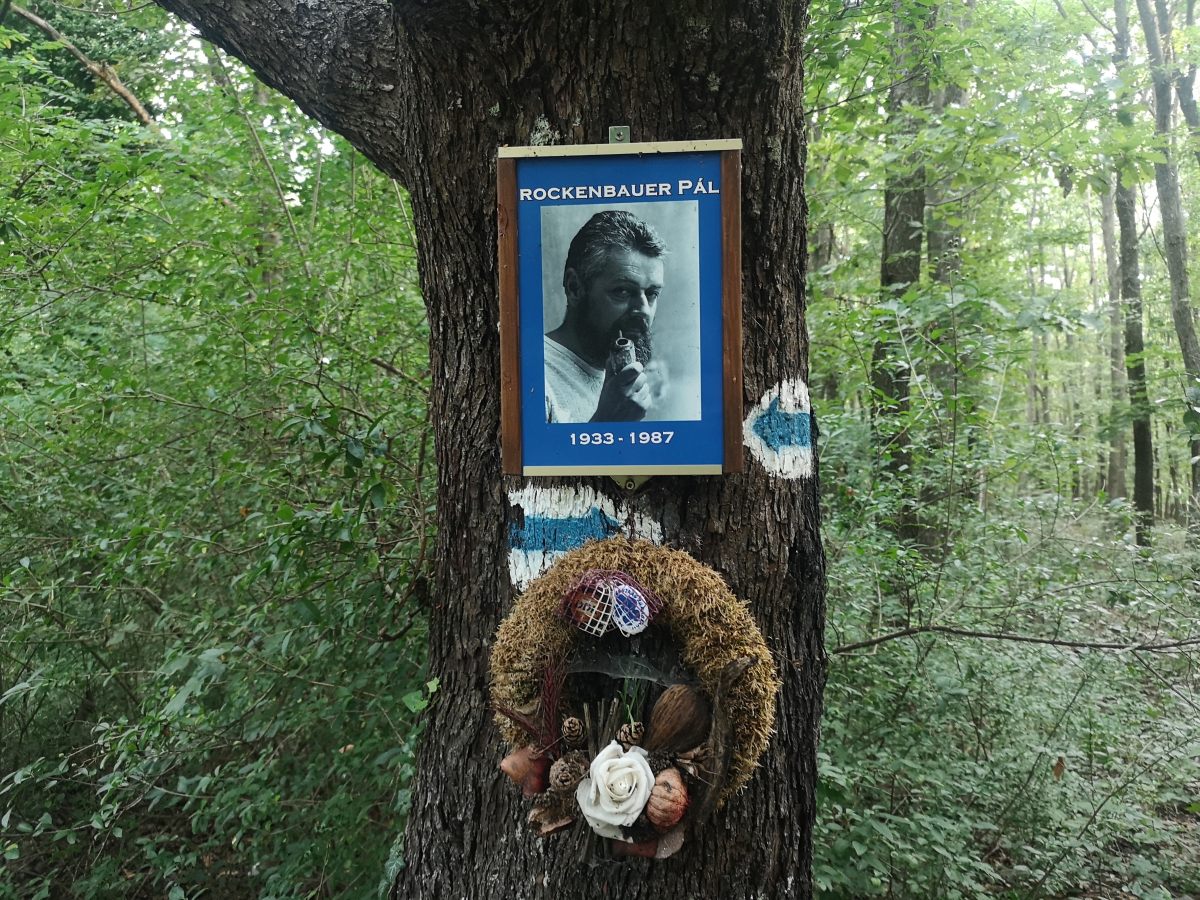 csutka istvan camino steve kek tura 13