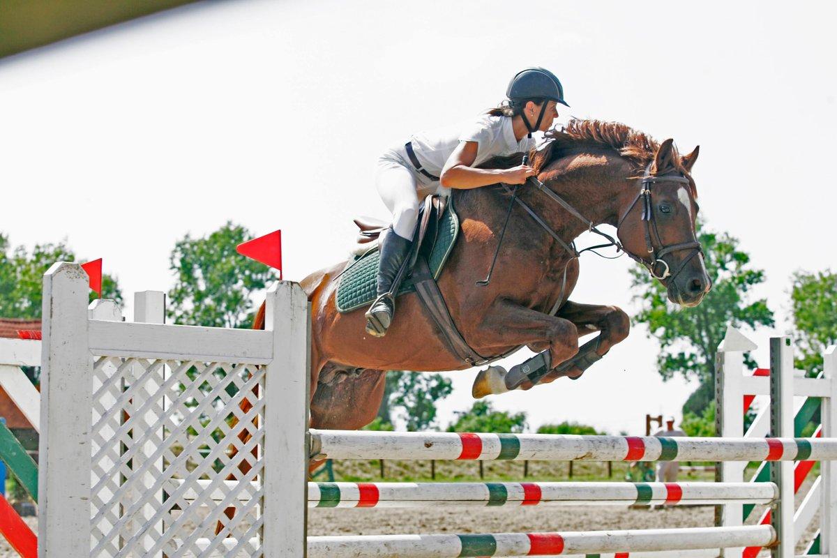 detre diana gapa terasz olimpia szorf vitorlazas balaton terepsport lovas