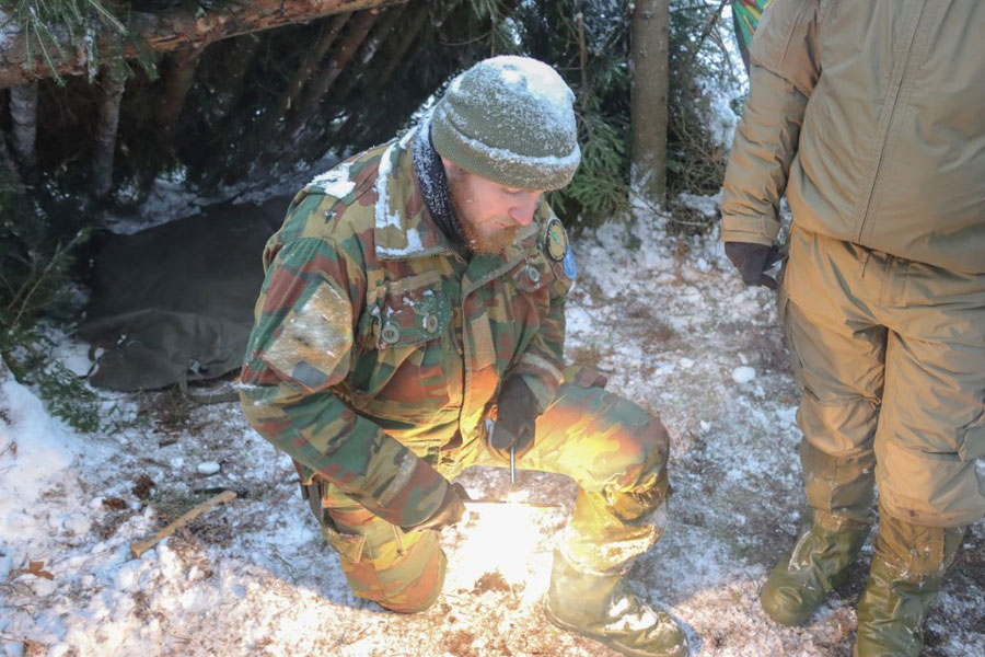 Survival BEL Det eFP 03