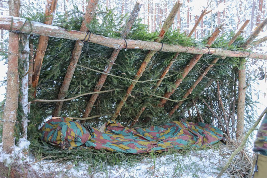 Survival BEL Det eFP 22