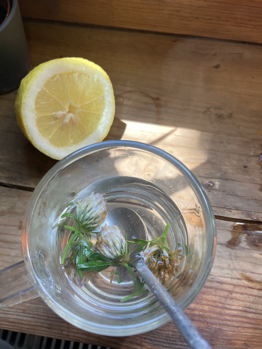 limonade voroshere limonade egeszseg eletmod vadnoveny terepeuta