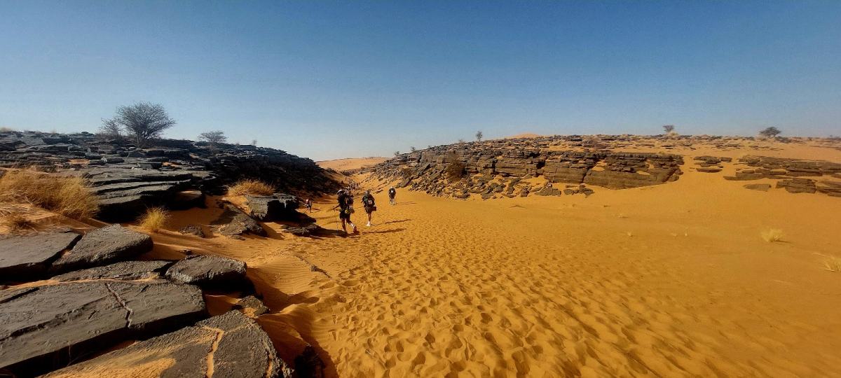 mazura katalin marathon des sables terepsport vadi