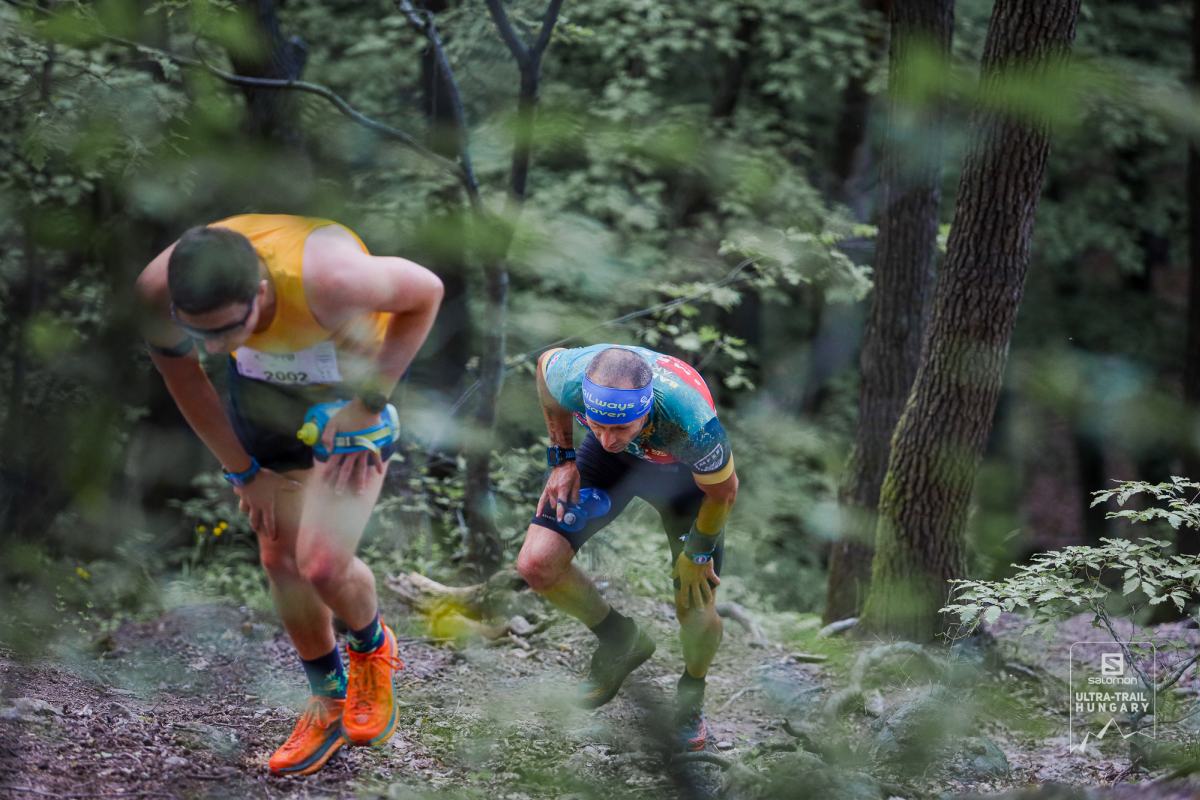 Salomon UTH TP uphill terepsport