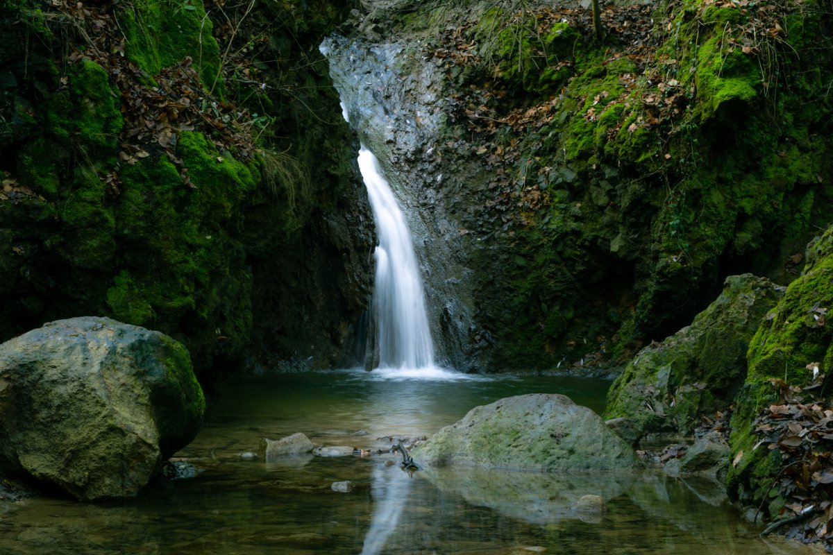 suhaj gabor 54 es kihivas terepsport vizeses n