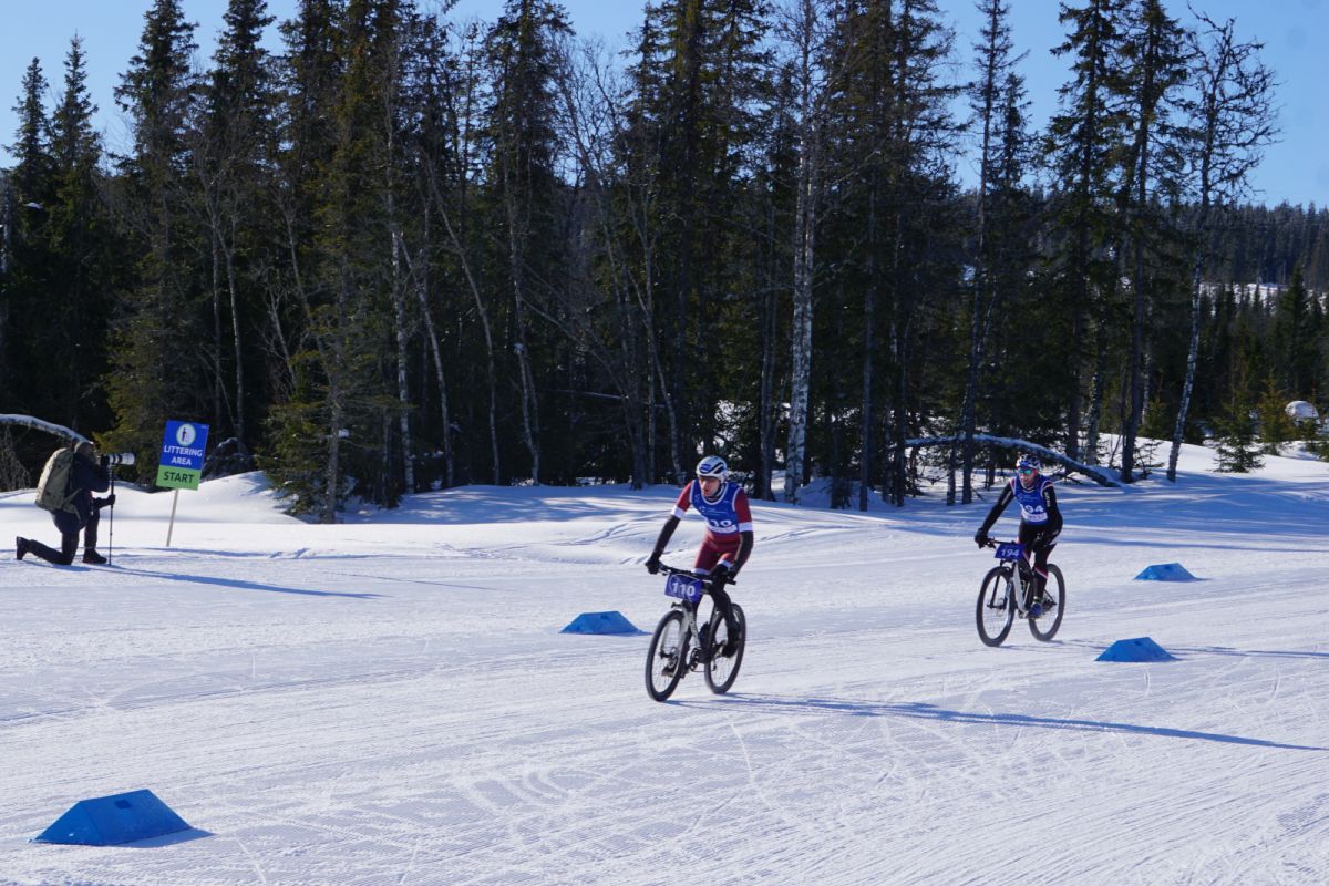 tilk bence itu winter triathlon terepsport bike