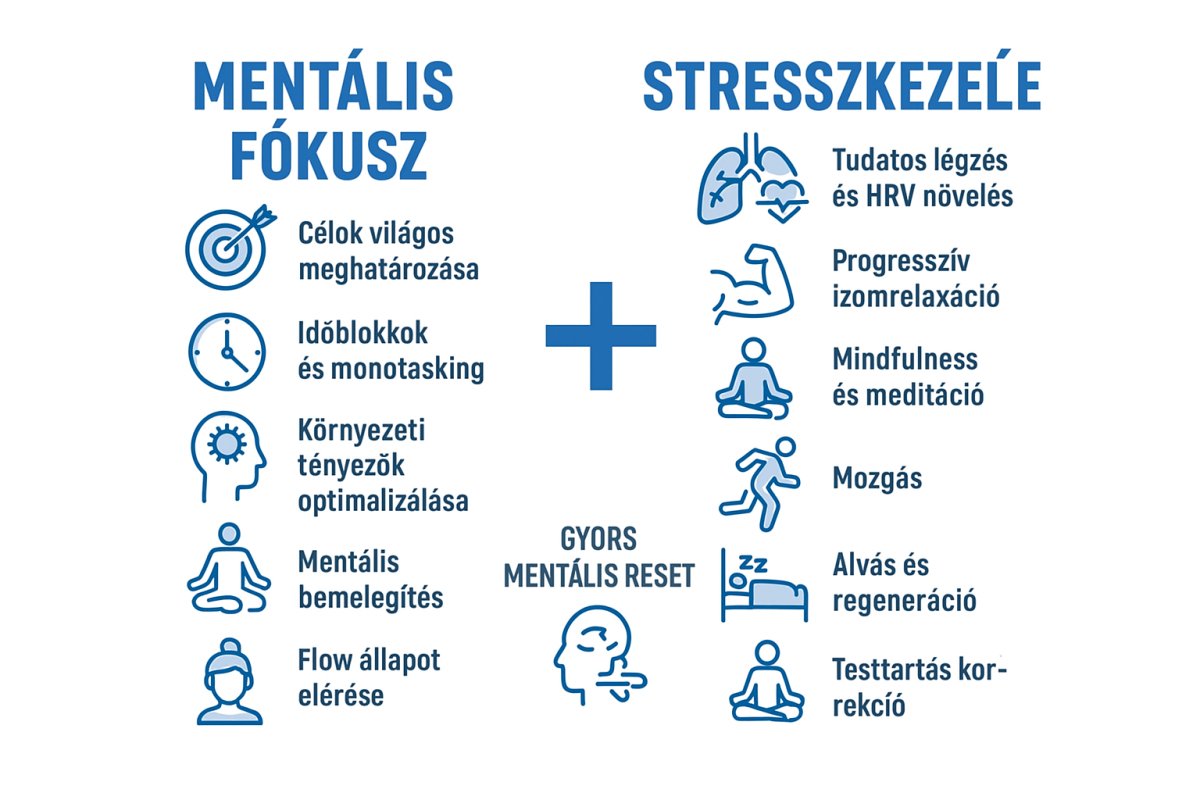 fokusz izuletvedelem izomregeneracio terepsport info