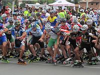 görkorcsolya, EK, Tatabánya