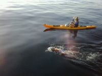 rögbi, maratoni úszás, csatorna, ultra, óceán, tenger