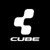 Cube 100