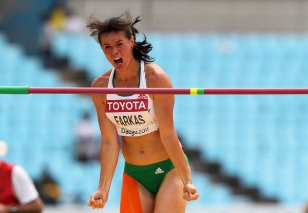 zsivoczky farkas gyorgyi