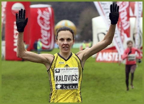 kálovics, mezei, futás, cross