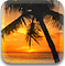 xterra, saipan, tereptriatlon, mtb, terepfutás, monti, gardner, bucher