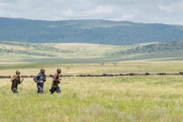 A maraton vil&aacute;gcs&uacute;cstart&oacute; Eliud Kipchoge egy&uuml;tt fut az afrikai vadőr&ouml;kkel (+vide&oacute;)