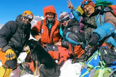 Az első kutya, aki feljutott a Himalája egyik 7000 méteres csúcsára