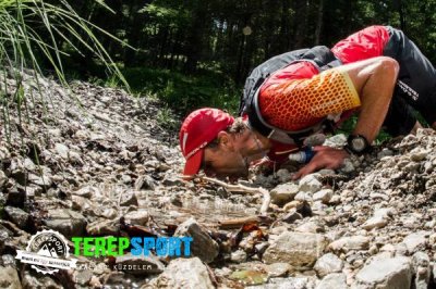 Forr&aacute;sok, a terepfut&oacute;k &eacute;s t&uacute;r&aacute;z&oacute;k rejtett erőtartal&eacute;kai