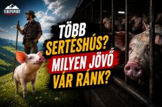 Egy&uuml;nk t&ouml;bb diszn&oacute;h&uacute;st, hogy megments&uuml;k a... kit is?