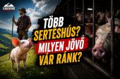 Egy&uuml;nk t&ouml;bb diszn&oacute;h&uacute;st, hogy megments&uuml;k a... kit is?