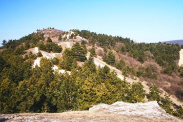 BUMM terepfut&oacute; verseny Budapest hat&aacute;r&aacute;ban