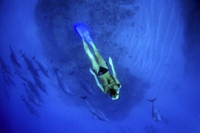 Nahrin magn&eacute;zium kapszula, a sz&iacute;v &eacute;s idegrendszer seg&iacute;tője